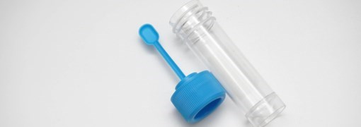 תרבית צואה (Stool Culture) - תמונה